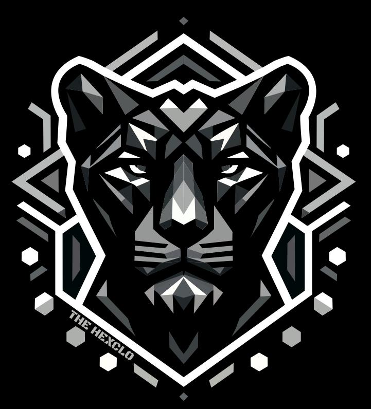 Black Panther Graphic Print T-Shirt, 100% Cotton: THE HEXCLO