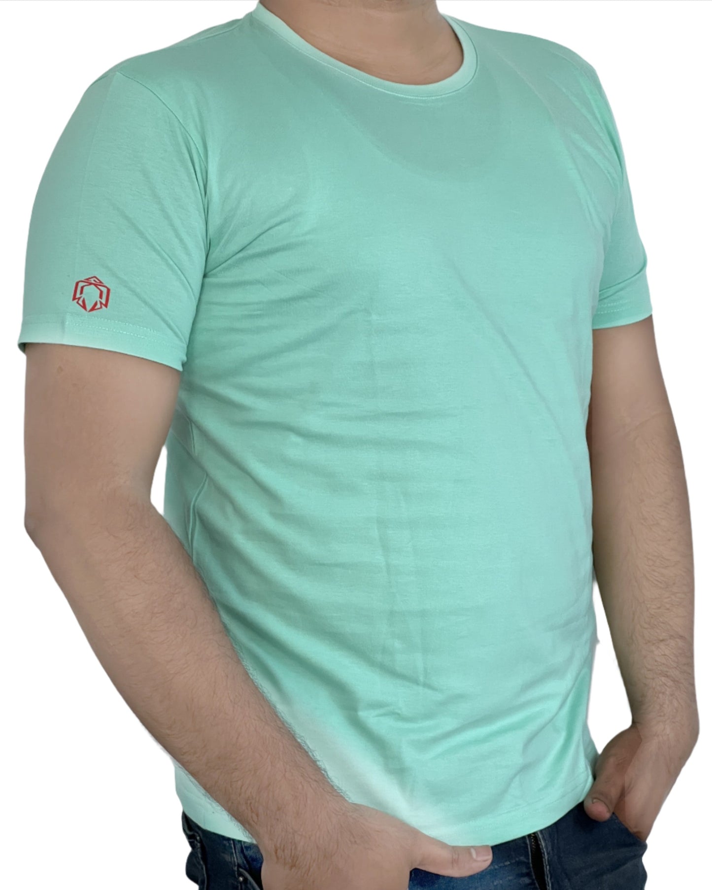 Unisex Classic Round Neck 100% Pure Cotton Regular Fit t-shirts