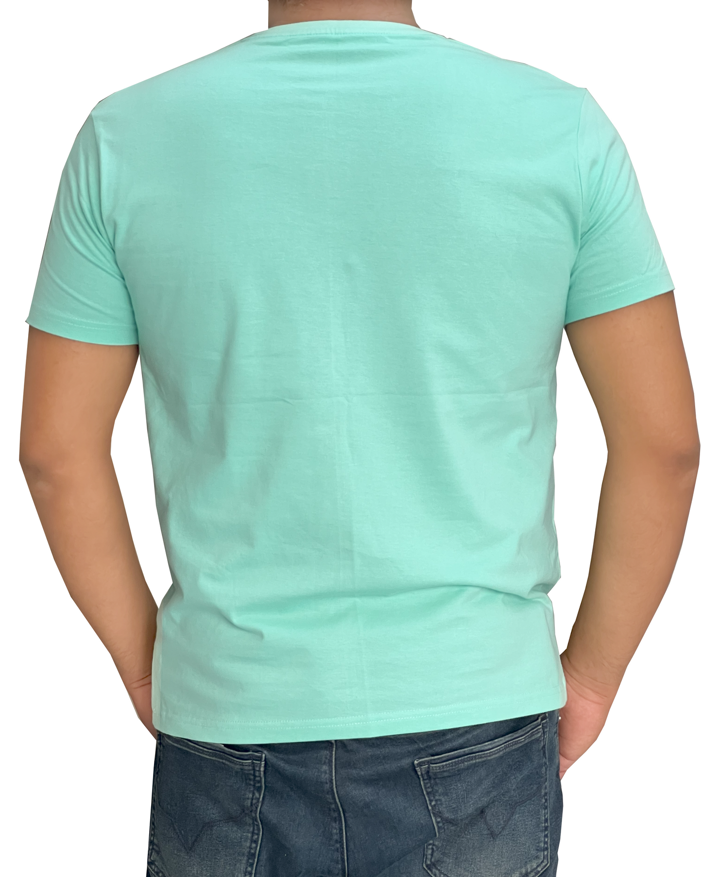 THE HEXCLO: Mint Green Wellness Unisex Crew Neck t-Shirt